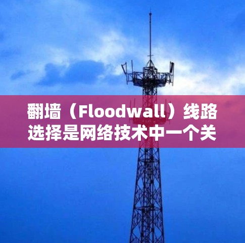 翻墙（Floodwall）线路选择是网络技术中一个关键的步骤，旨在将外部网络资源接入内部网络。以下是一些关于翻墙线路选择的详细指南