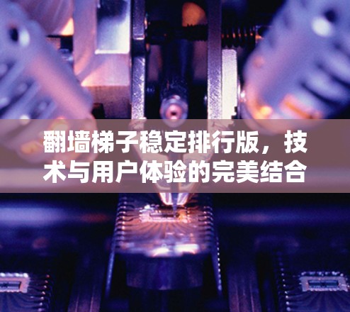 翻墙梯子稳定排行版，技术与用户体验的完美结合