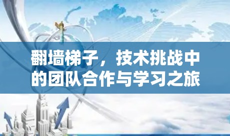 翻墙梯子，技术挑战中的团队合作与学习之旅