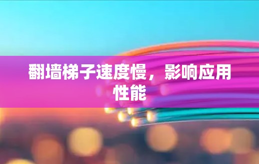 翻墙梯子速度慢，影响应用性能