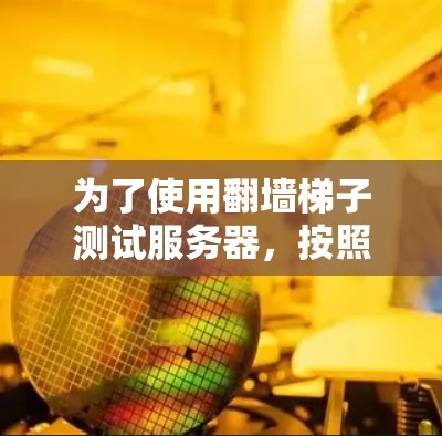 为了使用翻墙梯子测试服务器，按照以下步骤进行