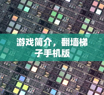游戏简介，翻墙梯子手机版