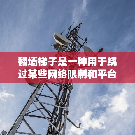 翻墙梯子是一种用于绕过某些网络限制和平台的访问工具，旨在用户能够绕过平台的限制，访问需要的网站。以下是对翻墙梯子的详细介绍
