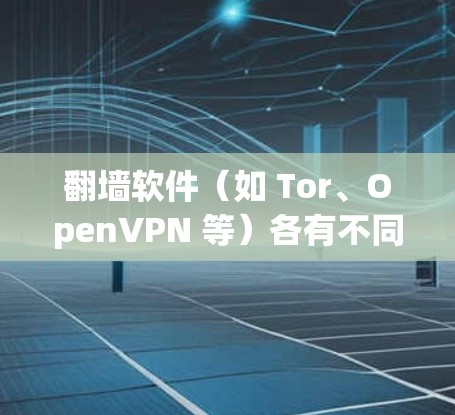 翻墙软件（如 Tor、OpenVPN 等）各有不同的版本，提供不同的功能和性能。以下是一些常见的版本及其特点