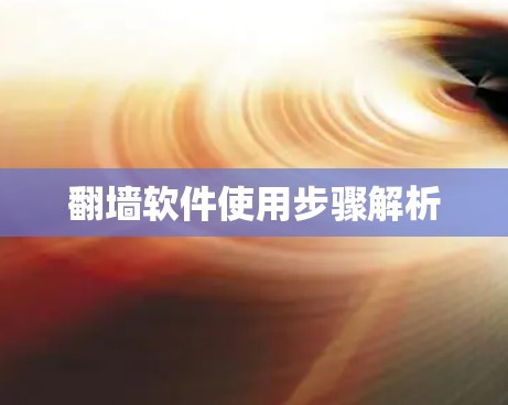 翻墙软件使用步骤解析