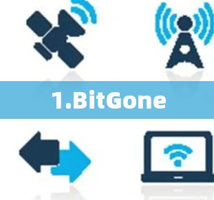 1.BitGone