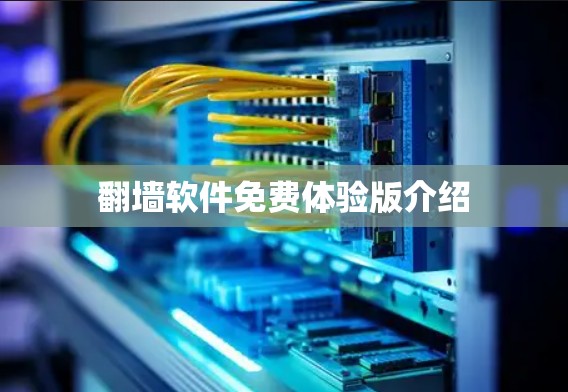 翻墙软件免费体验版介绍