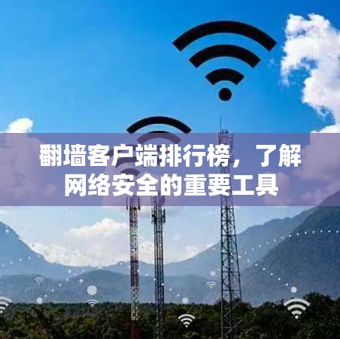 翻墙客户端排行榜，了解网络安全的重要工具