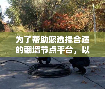 为了帮助您选择合适的翻墙节点平台，以下是一个详细的使用计划和推荐