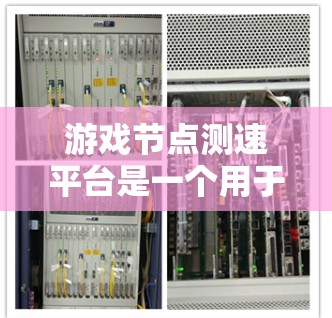 游戏节点测速平台是一个用于监控和优化游戏性能的工具，主要功能包括