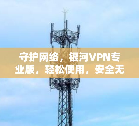 守护网络，银河VPN专业版，轻松使用，安全无忧