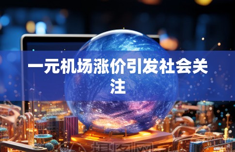 一元机场涨价引发社会关注