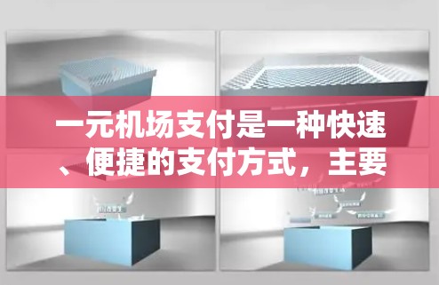 一元机场支付是一种快速、便捷的支付方式，主要通过优惠卡、半价票、自助结账机和其他方式实现。以下是详细的步骤和注意事项
