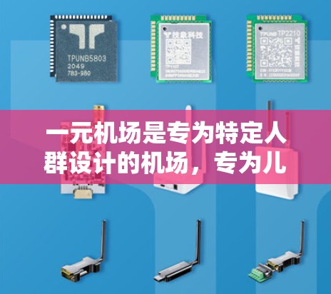 一元机场是专为特定人群设计的机场，专为儿童、孕妇、老人等特定人群提供更便捷的服务和便利。调用中文描述时，可以按照以下步骤进行