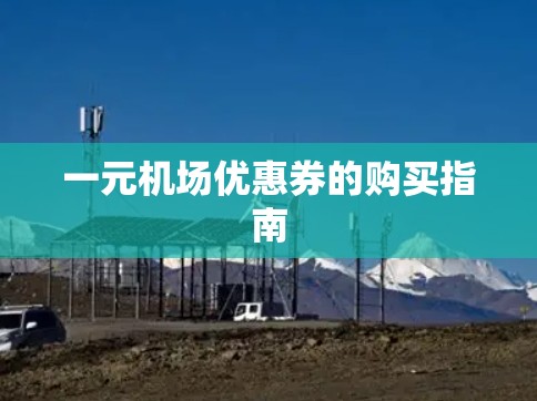 一元机场优惠券的购买指南