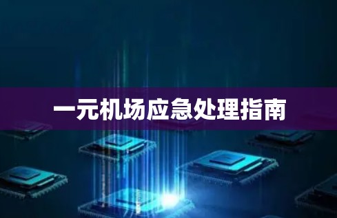 一元机场应急处理指南