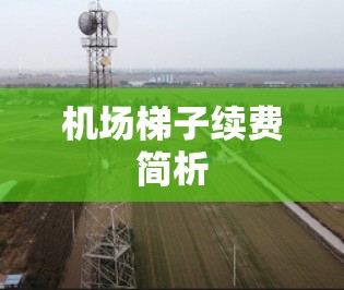 机场梯子续费简析