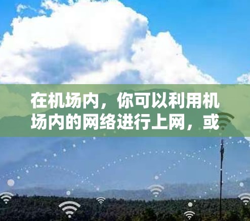 在机场内，你可以利用机场内的网络进行上网，或者在附近的商店、餐厅或其他设施尝试连接机场的网络。具体操作方法如下