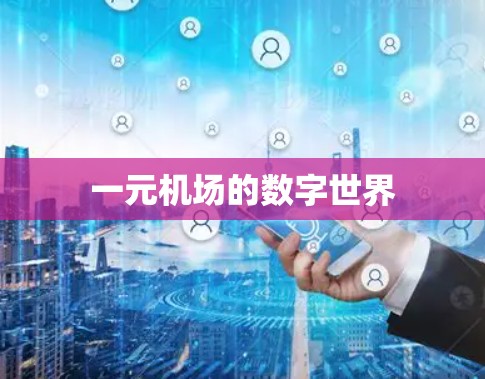 一元机场的数字世界