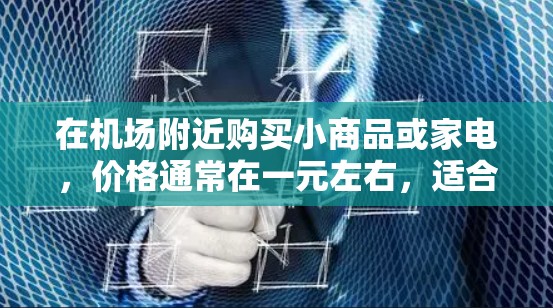 在机场附近购买小商品或家电，价格通常在一元左右，适合在机场中选择。以下是一些常见的商店类型和推荐