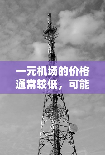 一元机场的价格通常较低，可能包括以下几种服务或物品