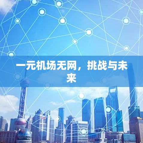 一元机场无网，挑战与未来