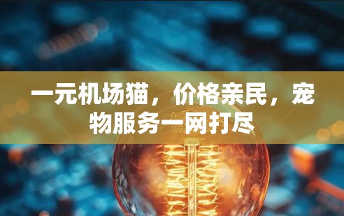 一元机场猫，价格亲民，宠物服务一网打尽