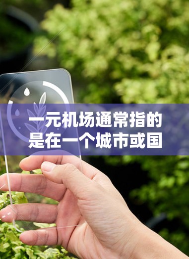 一元机场通常指的是在一个城市或国家只有一个机场，这样交通便利，方便游客和商务人士出行。以下是一元机场的路线规划，供您参考