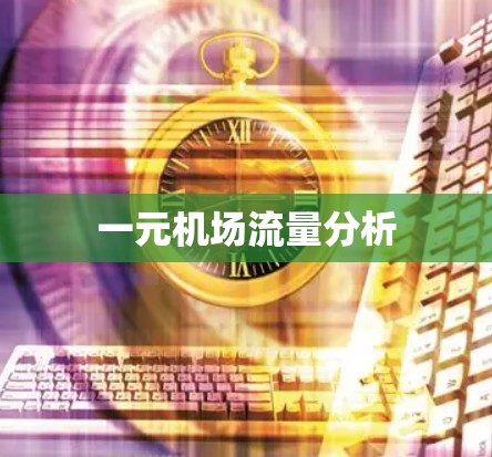 一元机场流量分析