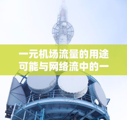 一元机场流量的用途可能与网络流中的一元流模型相关，即单源网络流，该模型从一个主要的输入点开始处理所有流量。这种模式在机场管理中可能有以下用途