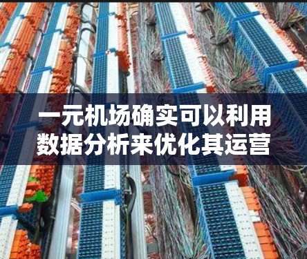 一元机场确实可以利用数据分析来优化其运营，提升效率和用户体验。以下是一些具体的应用