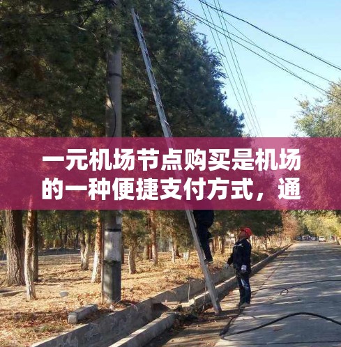 一元机场节点购买是机场的一种便捷支付方式，通常通过一元卡（One Card）来实现。以下是逐步操作的步骤