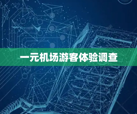 一元机场游客体验调查