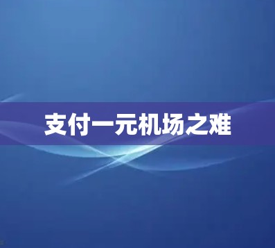 支付一元机场之难