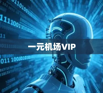 一元机场VIP