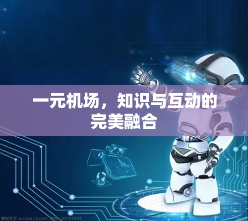 一元机场，知识与互动的完美融合