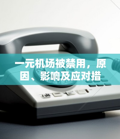 一元机场被禁用，原因、影响及应对措施