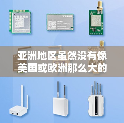 亚洲地区虽然没有像美国或欧洲那么大的 VPN 网站，但有一些 VPN 节点服务提供给中国用户。这些 VPN 服务主要是为了满足用户在亚洲地区使用VPN的需求。以下是一些可能的 VPN 节点服务