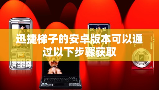 迅捷梯子的安卓版本可以通过以下步骤获取