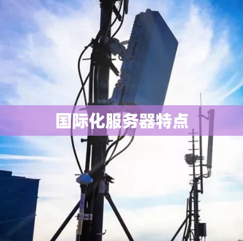 国际化服务器特点