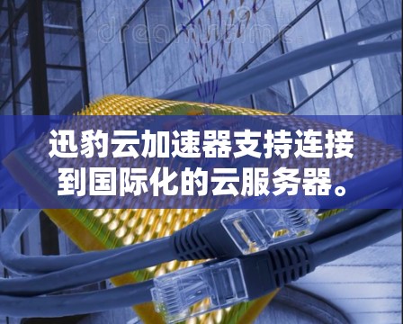 迅豹云加速器支持连接到国际化的云服务器。通常，迅豹云加速器可以通过以下步骤连接到国际化的云服务器