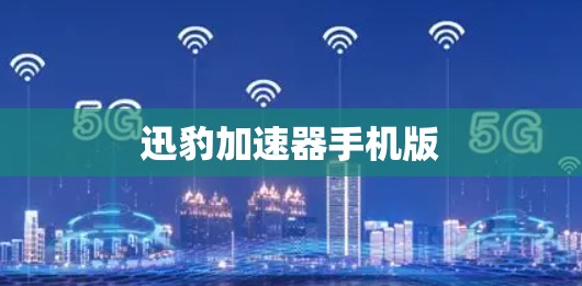 迅豹加速器手机版
