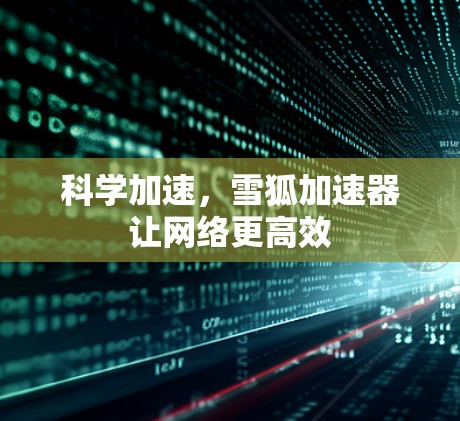 科学加速，雪狐加速器让网络更高效