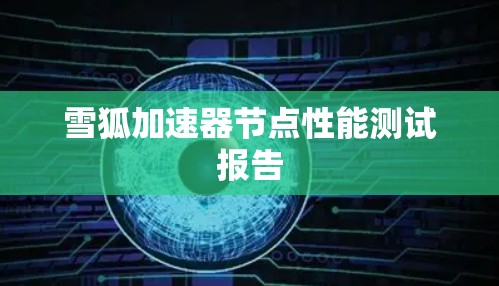 雪狐加速器节点性能测试报告