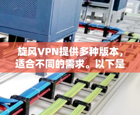 旋风VPN提供多种版本，适合不同的需求。以下是关于旋风VPN电脑版本的详细介绍