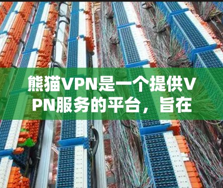 熊猫VPN是一个提供VPN服务的平台，旨在保护用户的数据和网络安全。以下是使用熊猫VPN客户端的步骤