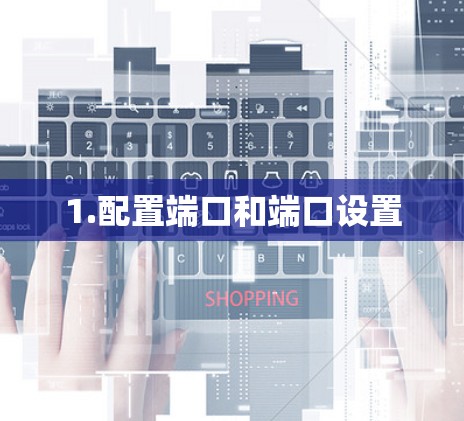 1.配置端口和端口设置