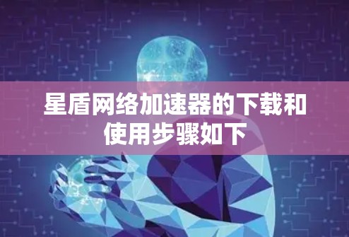 星盾网络加速器的下载和使用步骤如下