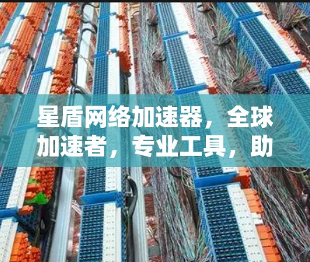 星盾网络加速器，全球加速者，专业工具，助力网络顺畅运行
