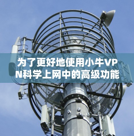 为了更好地使用小牛VPN科学上网中的高级功能，如密码解码和视频通话，您可以按照以下步骤进行